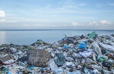 Национальный форум обсуждает вопросы управления пластиковыми отходами для устойчивого развития рыболовства