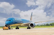 Vietnam Airlines в январе возобновит еще 10 внутренних рейсов