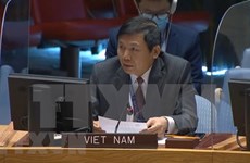 Вьетнам выполнил все задачи в СБ ООН