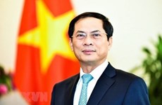 Вьетнамская дипломатия в свете Резолюции XIII всевьетнамского съезда партии