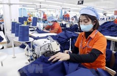 Торговое бюро Вьетнама работает над увеличением экспорта в Северную Европу