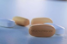 Лекарства с молнупиравиром для лечения COVID-19 предложены к лицензированию