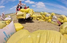 ЕС остается высокопотенциальным импортером вьетнамского риса