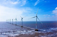Чавинь: открытие ветряной электростанции Донгхай I