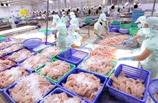 Вьетнамские рыбоперерабатывающие предприятия имеют большие возможности для увеличения экспорта