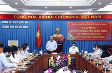 Президент Нгуен Суан Фук встретился с депутатами НС города Хошимин