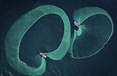 Вьетнамский фотограф получил награду «Подводный фотограф года 2022»