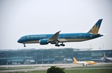 В Японии задержан подозреваемый, угрожавший сбить самолет Vietnam Airlines