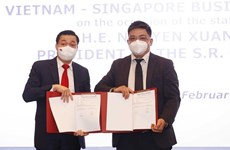 Вьетнамские и сингапурские фирмы подписали соглашения о сотрудничестве на сумму около 11 миллиардов долларов США