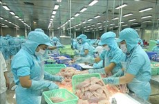 Положительное сальдо торговли сельскохозяйственной продукцией Вьетнама выросло на 87%