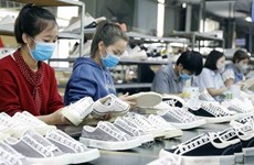 Доля рынка обуви Вьетнама вырастет до более чем 10% в 2020 году