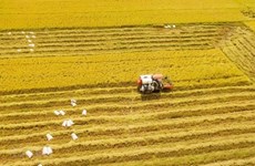 Изменить мышление от сельскохозяйственного производства к развитию сельского хозяйства, от борьбы - к активной адаптации к изменению климата