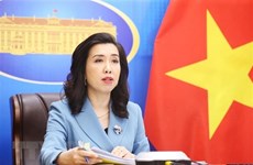 Ле Тхи Тху Ханг: Просьба к Китаю уважать и не нарушать исключительную экономическую зону Вьетнама и континентальный шельф
