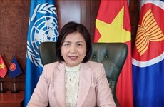 Делегация Вьетнама посещает встречи по вопросам гендерного равенства