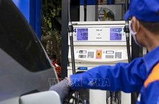 Правительство одобрило проект постановления об экологическом налоге на бензин