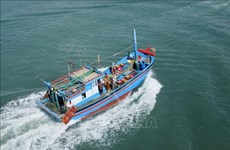 Местности увеличивают возможности морского рыболовства