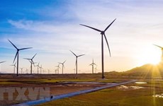 Возобновляемые источники энергии предлагают инвестиционные возможности во Вьетнаме