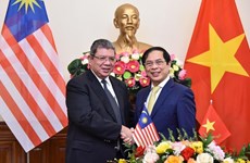 Главы МИД Вьетнама и Малайзии провели переговоры