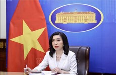 Официальный представитель МИД: Вьетнам достиг соглашения о взаимном признании вакцинных паспортов с 17 странами