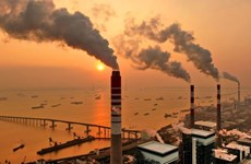 Вьетнам делает шаги к рынку углеродных кредитов