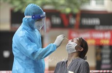 Эпидемия COVID-19 на 25 марта: количество новых случаев резко сократилось