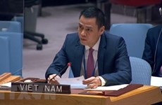 Вьетнам хочет внести больший вклад в общую повестку дня ООН
