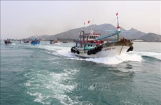 Ниньтхуан борется с ННН-промыслом, чтобы стимулировать устойчивую морскую экономику