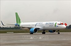 Авиационная администрация проводит экстренное совещание по вопросам деятельности Bamboo Airways