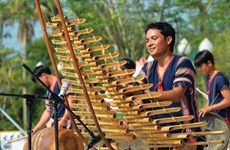 Впервые представлены 100 традиционных музыкальных инструментов вьетнамских этнических групп