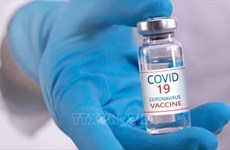 Правительство: 3 вьетнамские вакцины против COVID-19 проходят клинические испытания