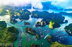Содействие международному сотрудничеству для развития зеленой морской экономики во Вьетнаме
