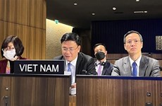 Вьетнам принимает участие в 214-й сессии Исполнительного совета ЮНЕСКО