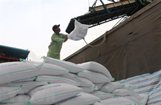 Оборот экспорта риса из Вьетнама вырос на 10,5% в первом квартале