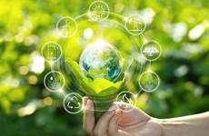 Трансформация зеленого производства к устойчивой ценности