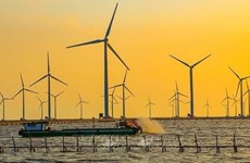 Разнообразие источников энергии: потенциал развития оффшорной ветроэнергетики