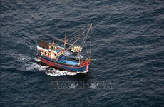 Ассоциация рыболовства Вьетнама выступила против одностороннего запрета Китая в Восточном море
