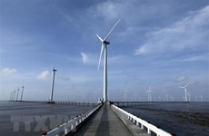 Крупные иностранные фирмы заинтересованы в оффшорной ветроэнергетике Вьетнама