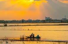 Создавать движущую силу экономического развития в дельте Меконга