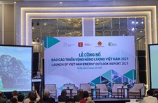 Представлен отчет о перспективах развития энергетики Вьетнама на 2021 год
