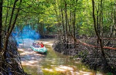 Месяц действий ради окружающей среды: объединение усилий для сохранения экосистем водно-болотных угодий