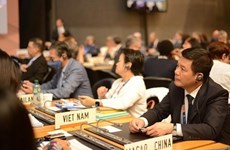 Вьетнам принимает участие в 12-й Министерской конференции ВТО в Женеве