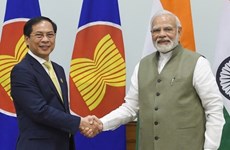 Вьетнам и Индия договорились о развитии эффективного и существенного партнерства