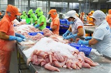 Вьетнамский сектор пангасиуса, вероятно, вступит в новый цикл развития