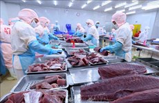 Экспорт вьетнамского тунца в Канаду резко вырос
