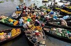 Превращение района дельты Меконга в место для достойной жизни