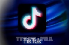TikTok удалил 2,4 миллиона видеороликов вьетнамских пользователей из-за нарушений