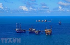 Привлечение иностранных инвестиций – ключ к модернизации PetroVietnam
