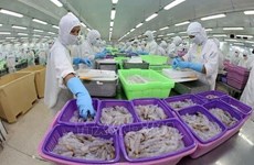 CPTPP способствует экспорту рыбной продукции из Вьетнама в Японию