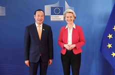 ЕС придает большое значение связям с Вьетнамом