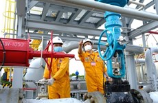 PV GAS D стремится стать ведущим дистрибьютором природного газа